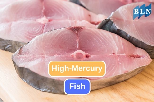 Take a Note at These Possibly High-Mercury Fish 